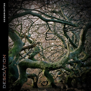 Desolation - Desoriented (2013)