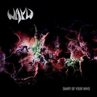 Wayd - Shape Of Your Mind (1995) [Reissue 2024]