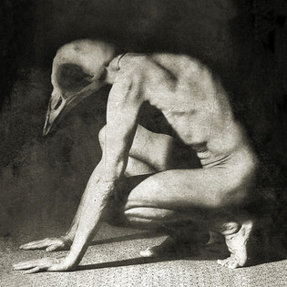 Helium Horse Fly - Hollowed (2019) Experimental/Post Metal