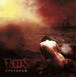 Faeces - Upstream (2011)